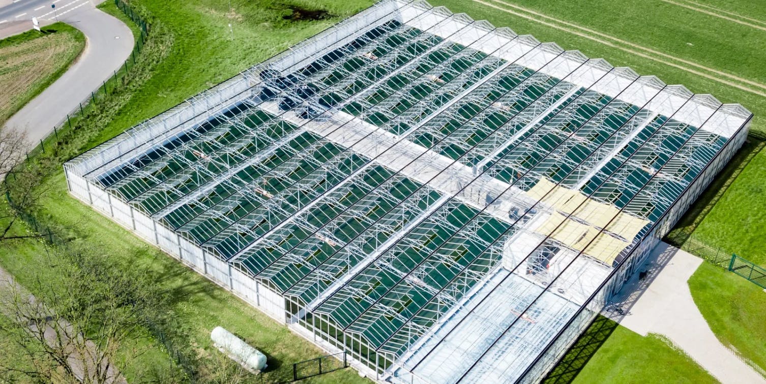 Die Luftaufnahme der Spirulina-Farm in Norddeutschland.